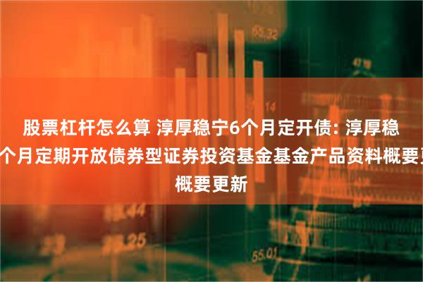 股票杠杆怎么算 淳厚稳宁6个月定开债: 淳厚稳宁6个月定期开放债券型证券投资基金基金产品资料概要更新