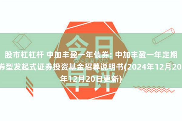 股市杠杠杆 中加丰盈一年债券: 中加丰盈一年定期开放债券型发起式证券投资基金招募说明书(2024年12月20日更新)