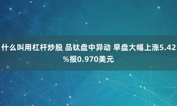 什么叫用杠杆炒股 品钛盘中异动 早盘大幅上涨5.42%报0.970美元