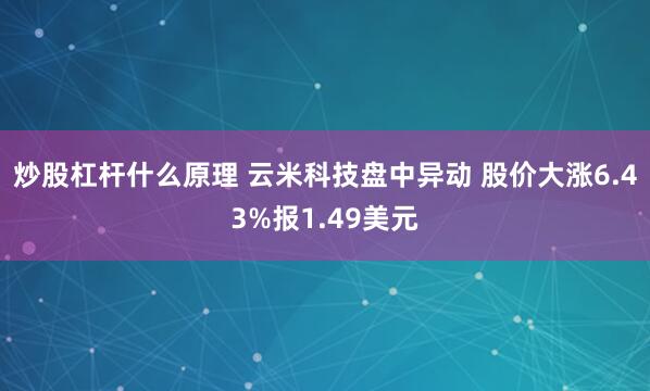 炒股杠杆什么原理 云米科技盘中异动 股价大涨6.43%报1.49美元