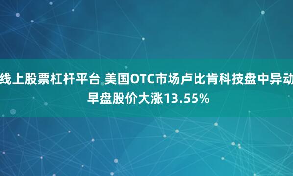 线上股票杠杆平台 美国OTC市场卢比肯科技盘中异动 早盘股价大涨13.55%