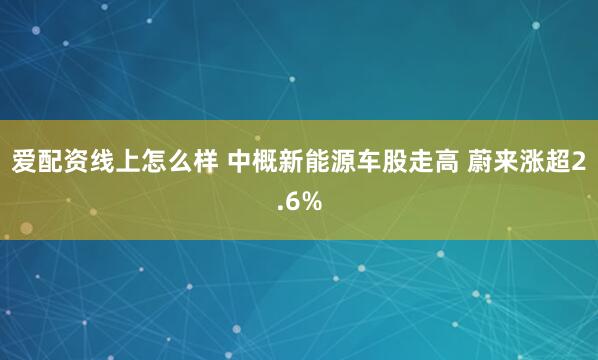 爱配资线上怎么样 中概新能源车股走高 蔚来涨超2.6%