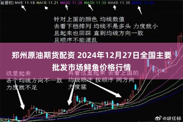 郑州原油期货配资 2024年12月27日全国主要批发市场鲟鱼价格行情