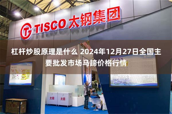 杠杆炒股原理是什么 2024年12月27日全国主要批发市场马蹄价格行情