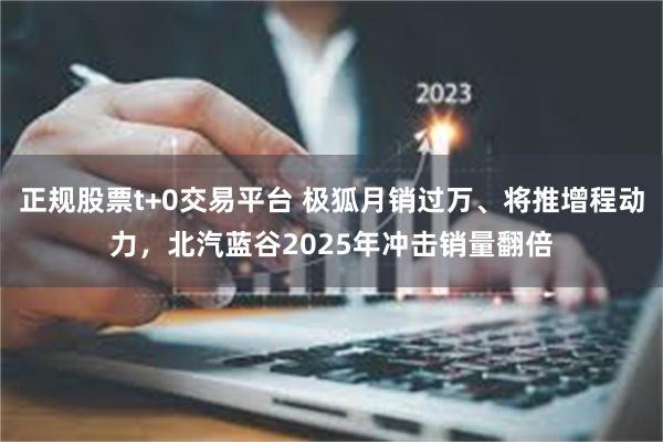 正规股票t+0交易平台 极狐月销过万、将推增程动力，北汽蓝谷2025年冲击销量翻倍