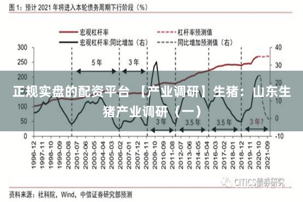 正规实盘的配资平台 【产业调研】生猪：山东生猪产业调研（一）