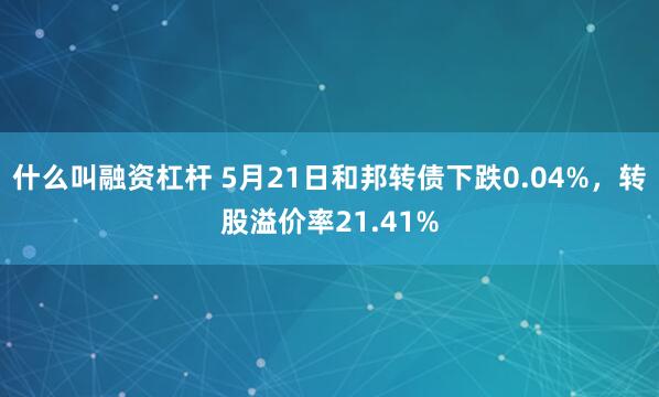 什么叫融资杠杆 5月21日和邦转债下跌0.04%，转股溢价率21.41%