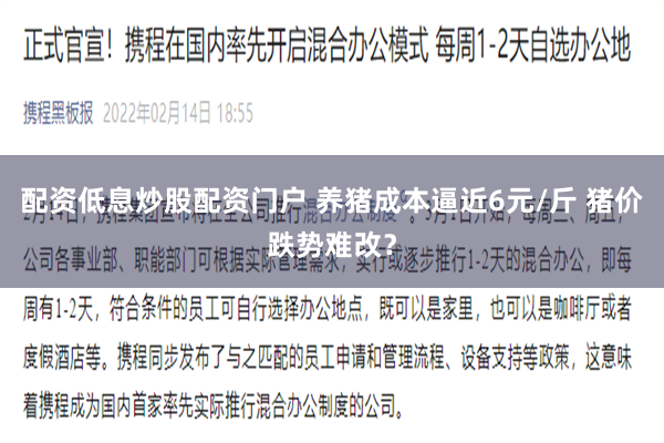 配资低息炒股配资门户 养猪成本逼近6元/斤 猪价跌势难改？