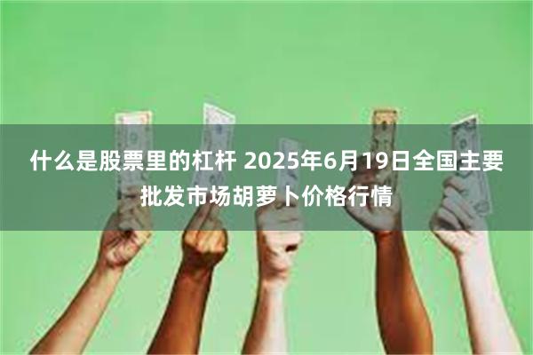 什么是股票里的杠杆 2025年6月19日全国主要批发市场胡萝卜价格行情