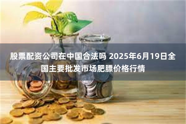 股票配资公司在中国合法吗 2025年6月19日全国主要批发市场肥膘价格行情