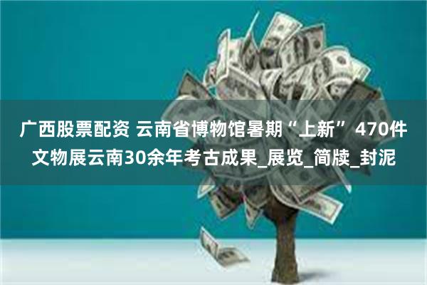 广西股票配资 云南省博物馆暑期“上新” 470件文物展云南30余年考古成果_展览_简牍_封泥