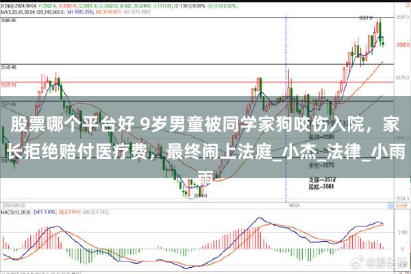股票哪个平台好 9岁男童被同学家狗咬伤入院，家长拒绝赔付医疗费，最终闹上法庭_小杰_法律_小雨
