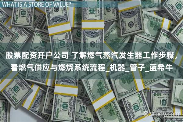 股票配资开户公司 了解燃气蒸汽发生器工作步骤，看燃气供应与燃烧系统流程_机器_管子_蓝希牛