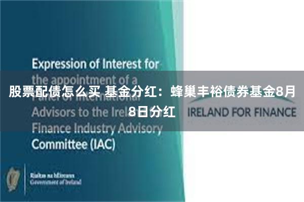 股票配债怎么买 基金分红：蜂巢丰裕债券基金8月8日分红