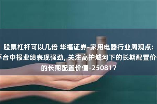 股票杠杆可以几倍 华福证券-家用电器行业周观点: 在线音乐平台中报业绩表现强劲, 关注高护城河下的长期配置价值-250817