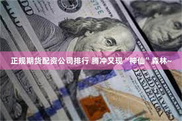 正规期货配资公司排行 腾冲又现“神仙”森林~